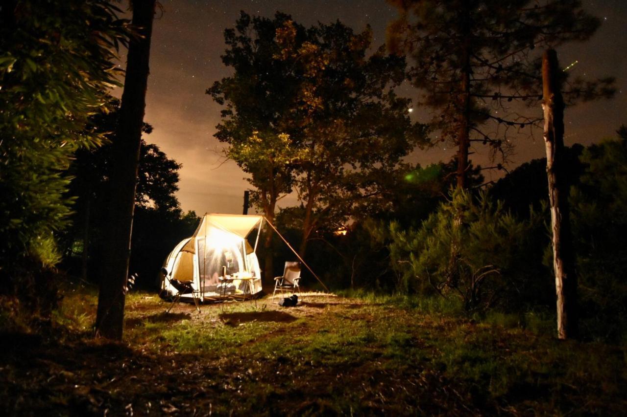 Agriturismo Ca Du Chittu Carro المظهر الخارجي الصورة