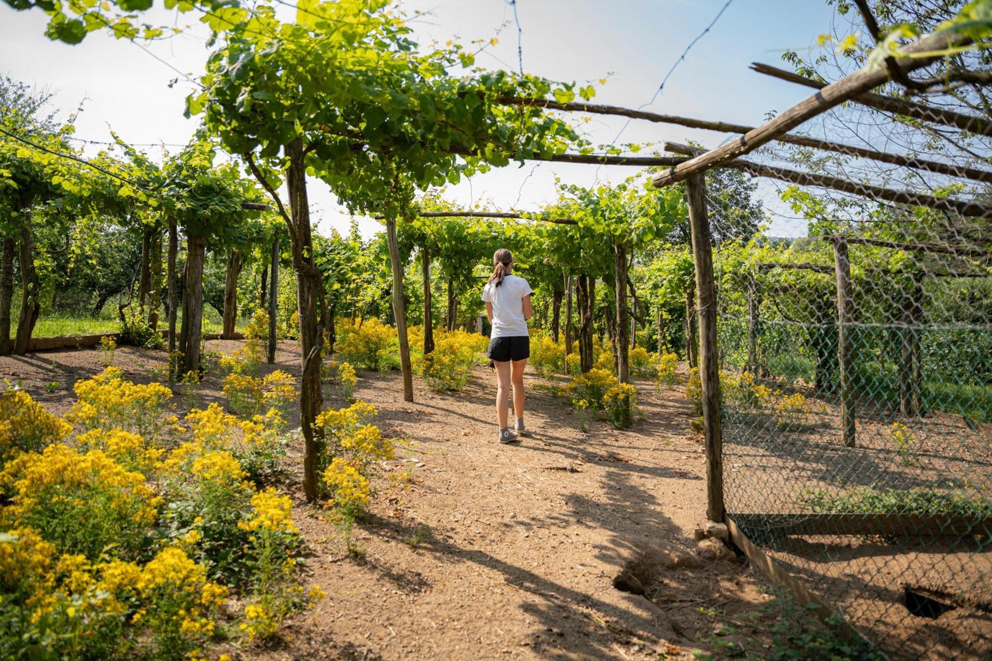 Agriturismo Ca Du Chittu Carro المظهر الخارجي الصورة