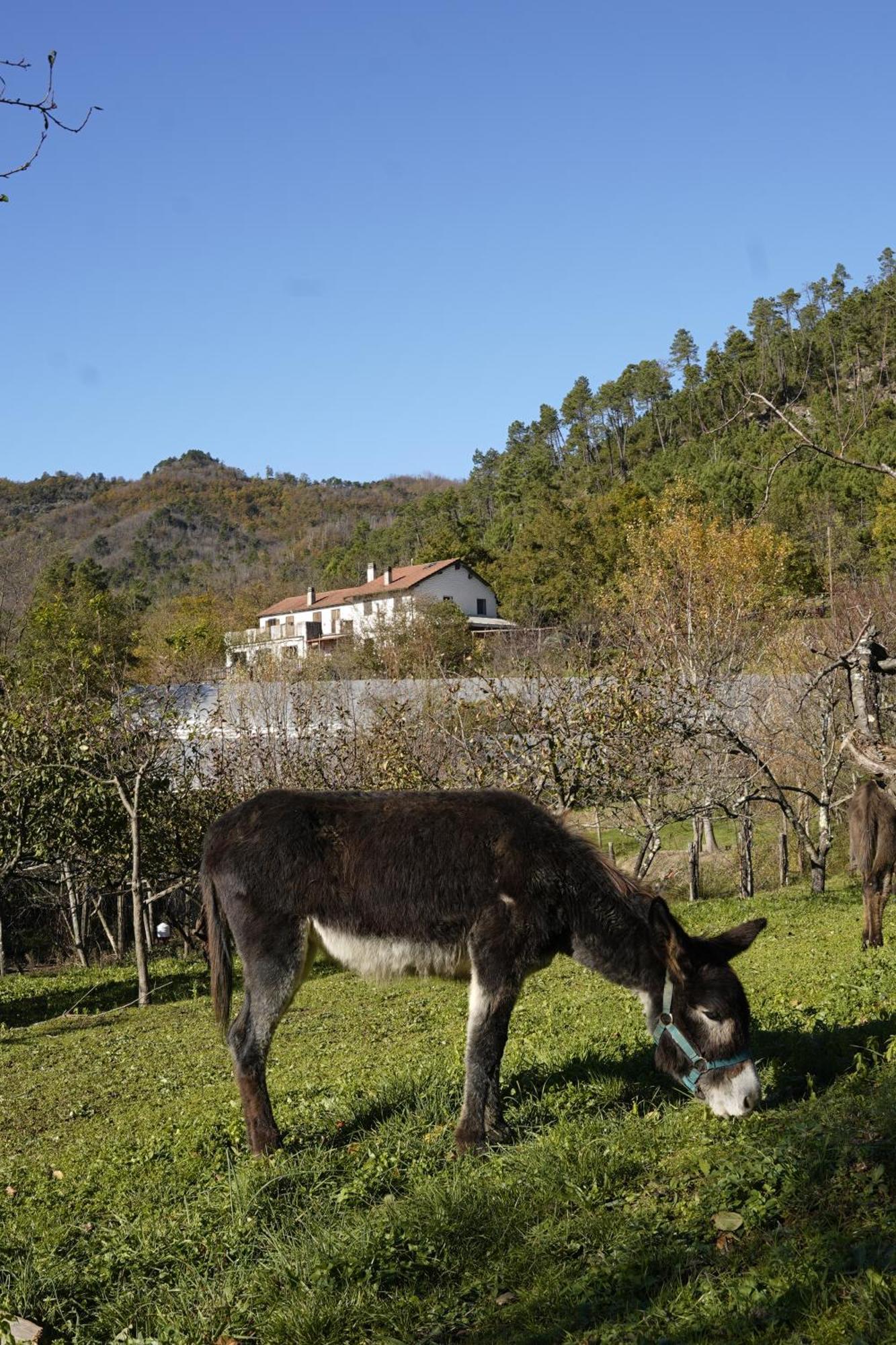 Agriturismo Ca Du Chittu Carro المظهر الخارجي الصورة