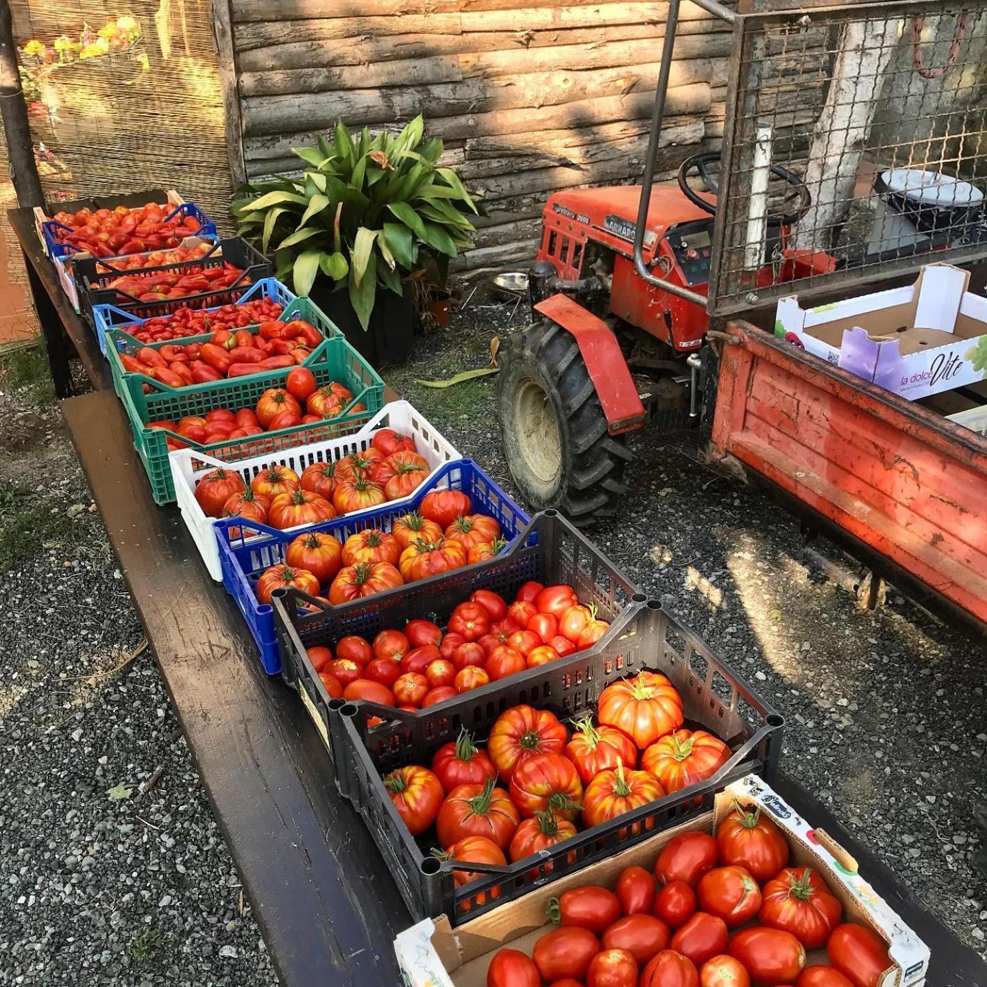 Agriturismo Ca Du Chittu Carro المظهر الخارجي الصورة